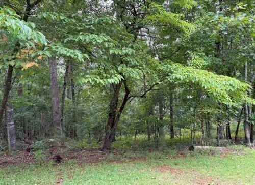 Ball Ground, GA 30107,Lot 13 Olivia LN