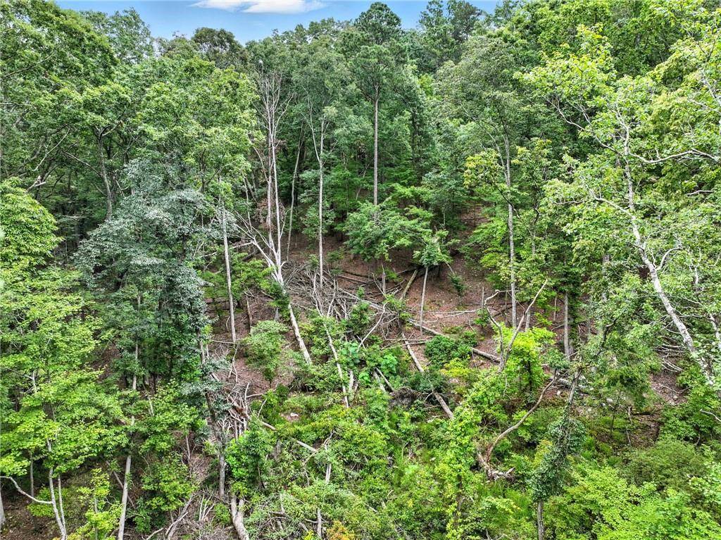 Jasper, GA 30143,Lot268 VistaView Pkwy