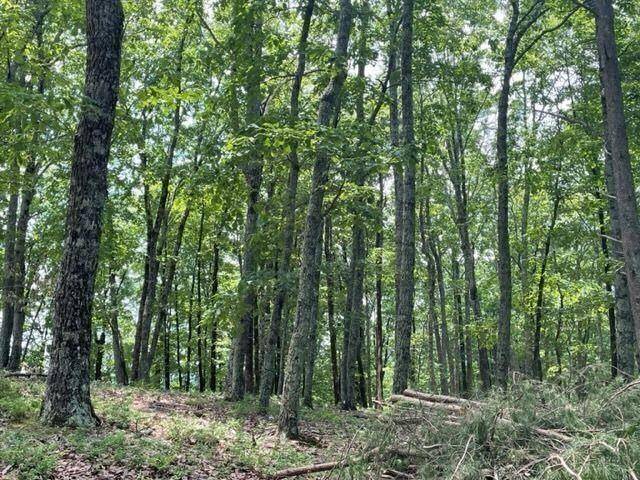 Cleveland, GA 30528,LOT212 High Rock TRL