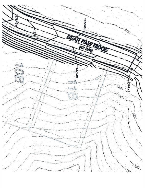 Dahlonega, GA 30533,1048 Bear Paw RDG