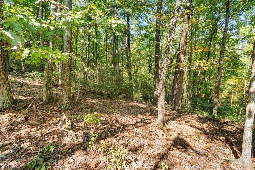 Big Canoe, GA 30143,288 Blazingstar TRL