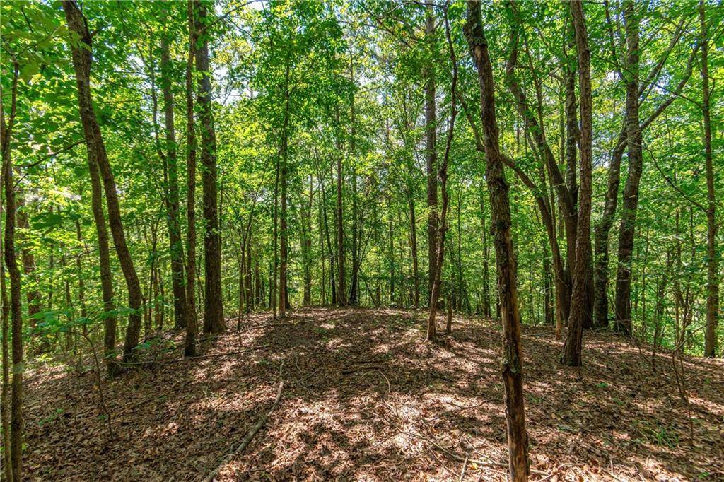 Talking Rock, GA 30175,4.7AC Mountain Creek Hollow DR