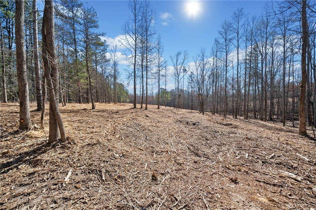 White, GA 30184,472 Mt. Olive Church LN