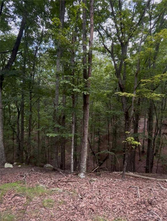 Waleska, GA 30183,110 Siddiqui Court