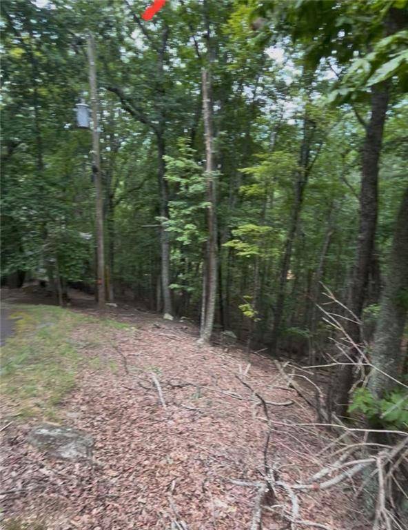 Waleska, GA 30183,110 Siddiqui Court