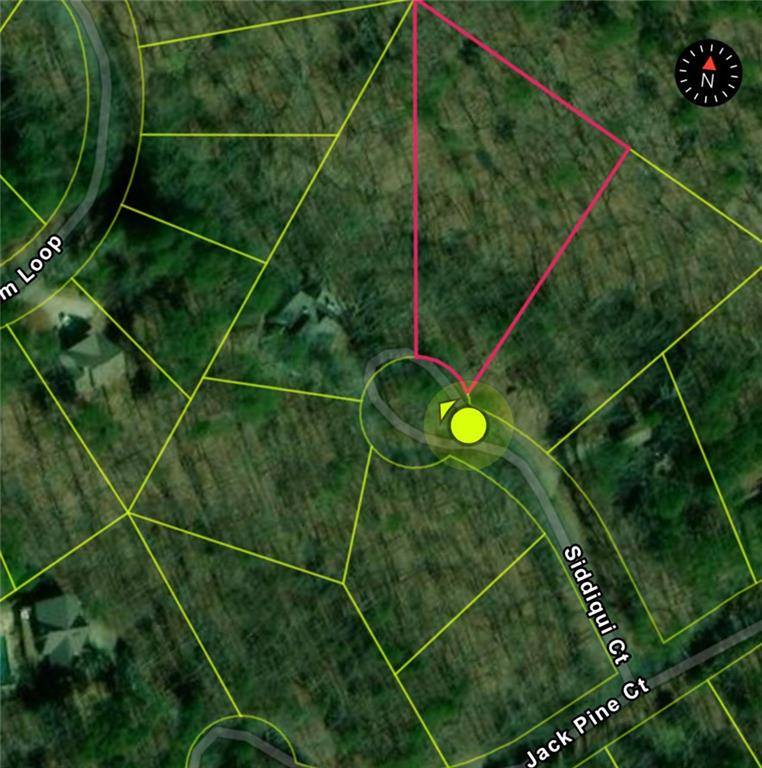 Waleska, GA 30183,110 Siddiqui Court