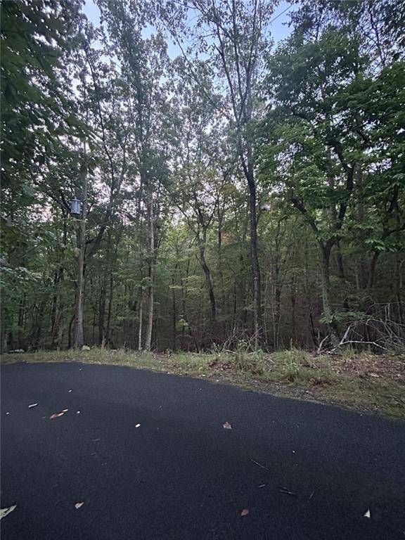 Waleska, GA 30183,110 Siddiqui Court