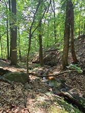 Jasper, GA 30143,1649 Moss Patch TRL