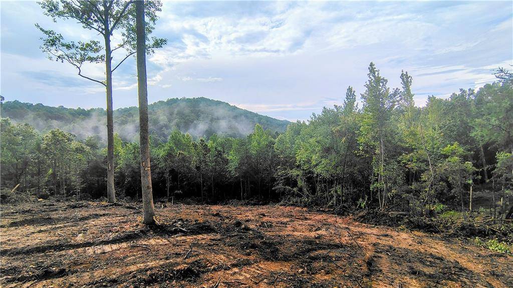 Jasper, GA 30143,0 Hawthorne Hill RD