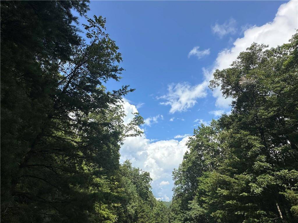 Ellijay, GA 30536,257 Andes RDG