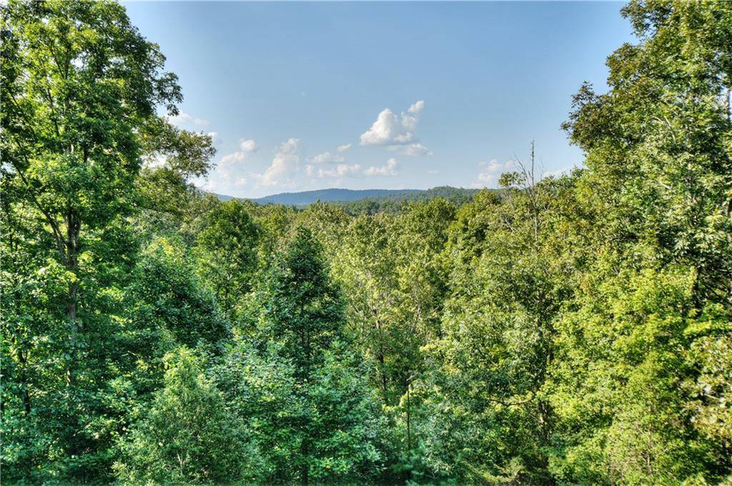 Blue Ridge, GA 30513,482 N Old Aska RD