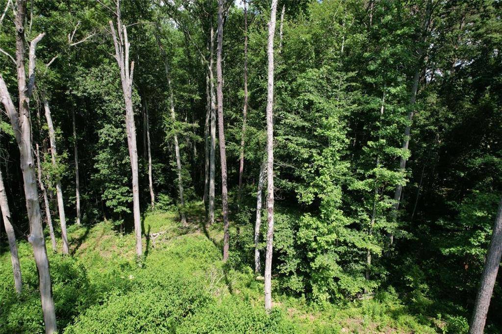 Temple, GA 30179,300 SPEIGHT RD