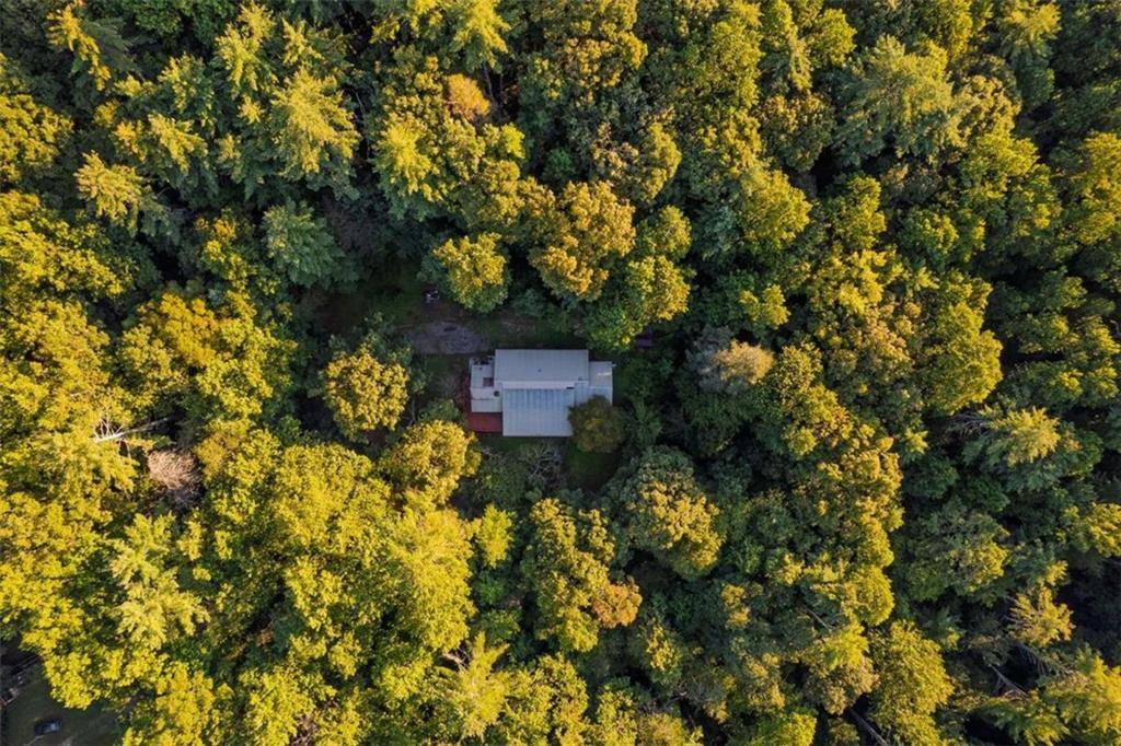 Ellijay, GA 30540,10950 Chatsworth HWY