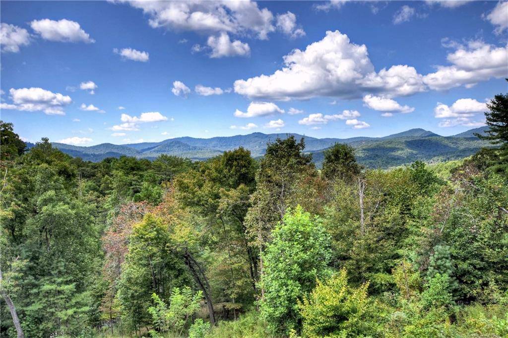 Mineral Bluff, GA 30559,6 Pontoosuc DR