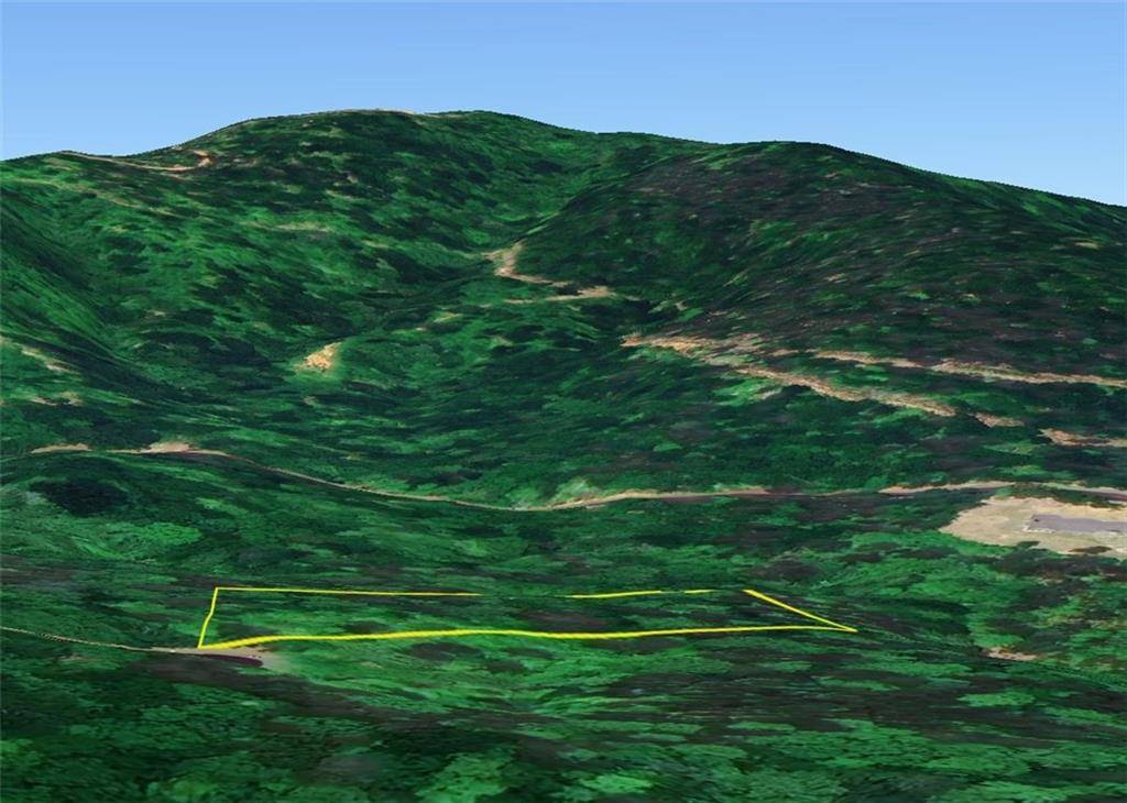 Ellijay, GA 30536,140 Autumn Fern LN