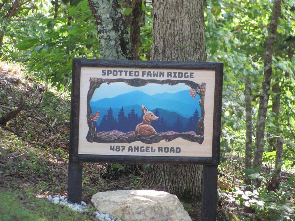 Fairmount, GA 30139,487 Angel RD