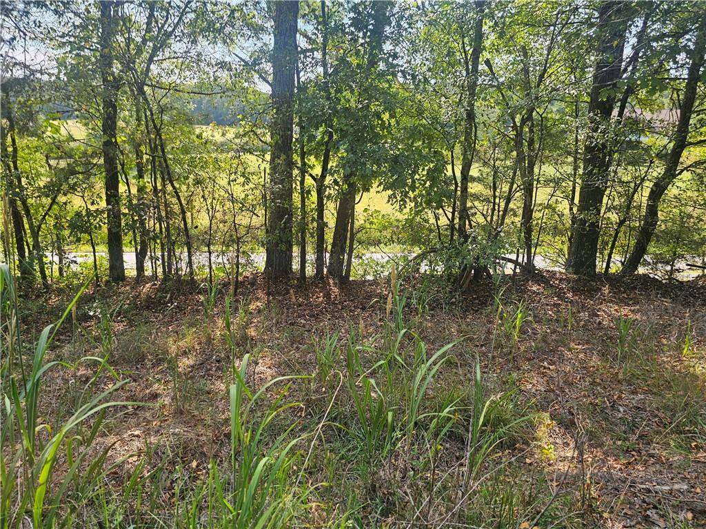 Rydal, GA 30171,1394 Spring Place RD