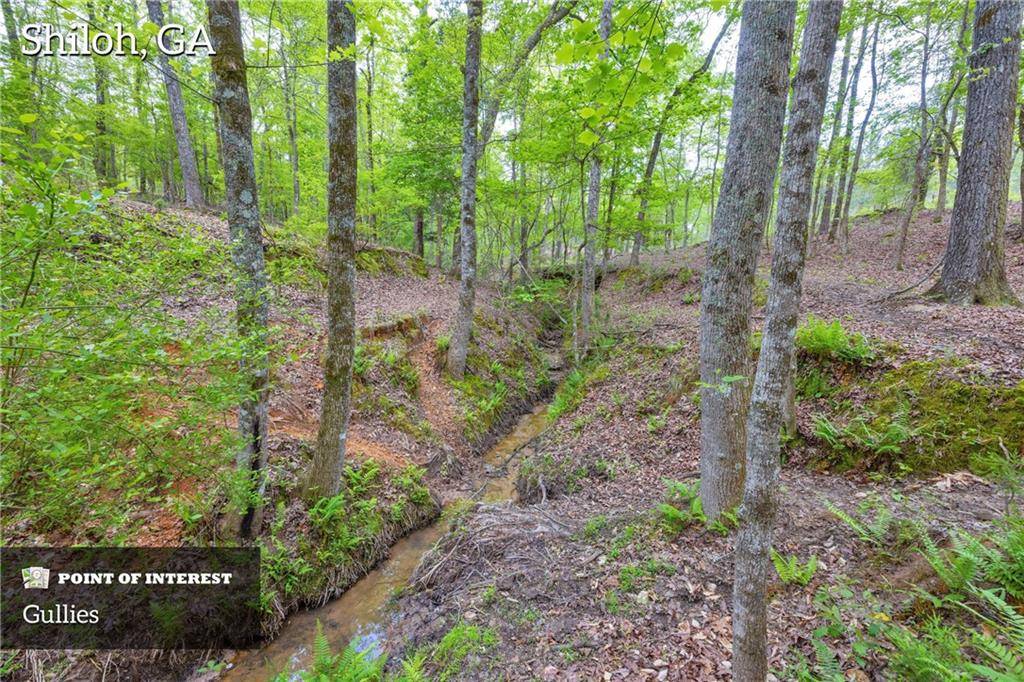 Shiloh, GA 31826,2450 Chestnut Grove RD
