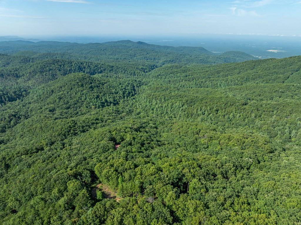 Chatsworth, GA 30705,LOT 9 Brushy Top DR