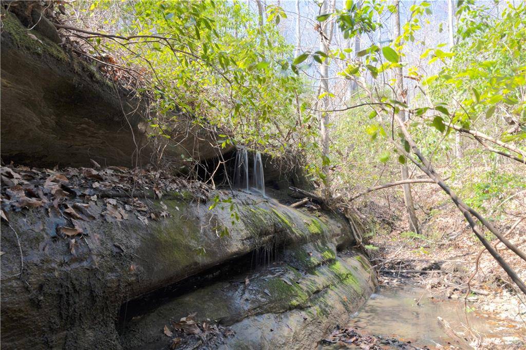 Baldwin, GA 30511,0 Soapstone RD