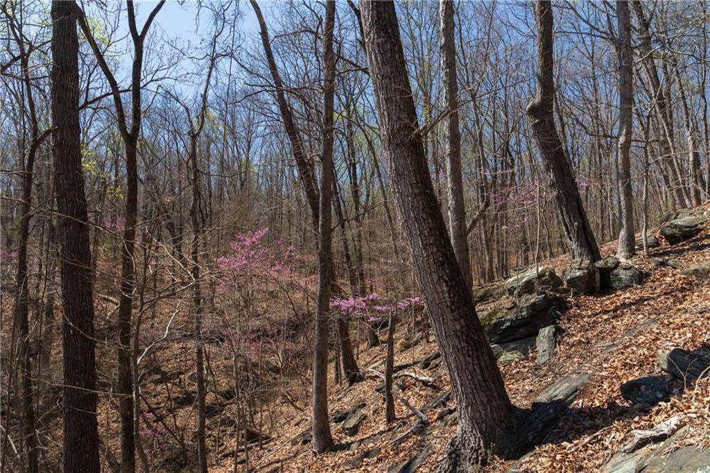 Baldwin, GA 30511,0 Soapstone RD