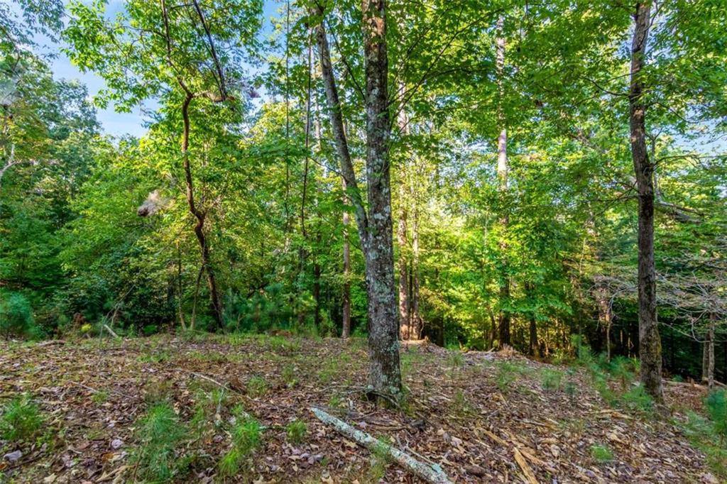 Ellijay, GA 30540,LT 207 PARODY CIRCLE