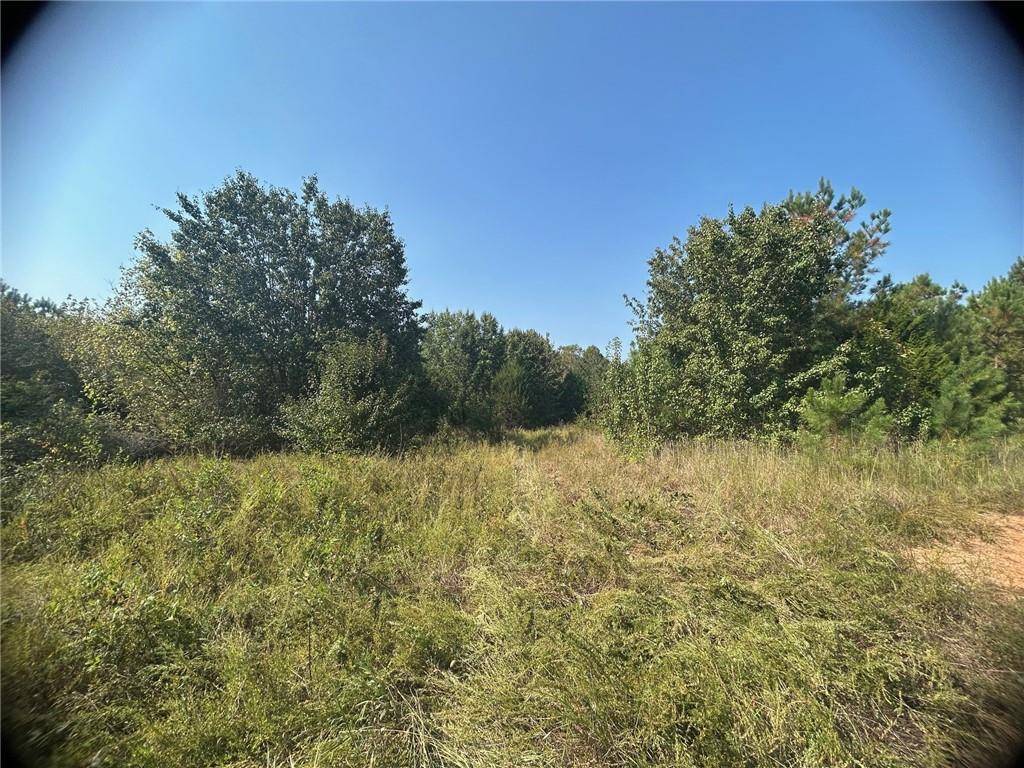 Cedartown, GA 30125,0 Blanche RD