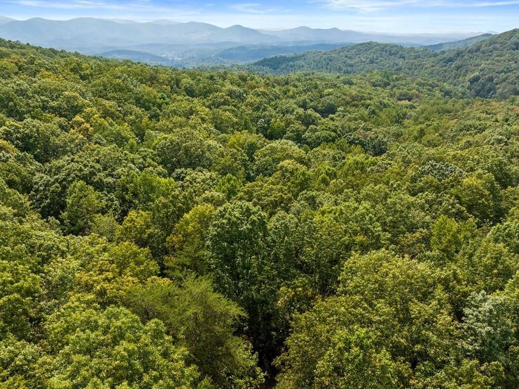 23 C,B Double Knob RD, Cherry Log, GA 30522