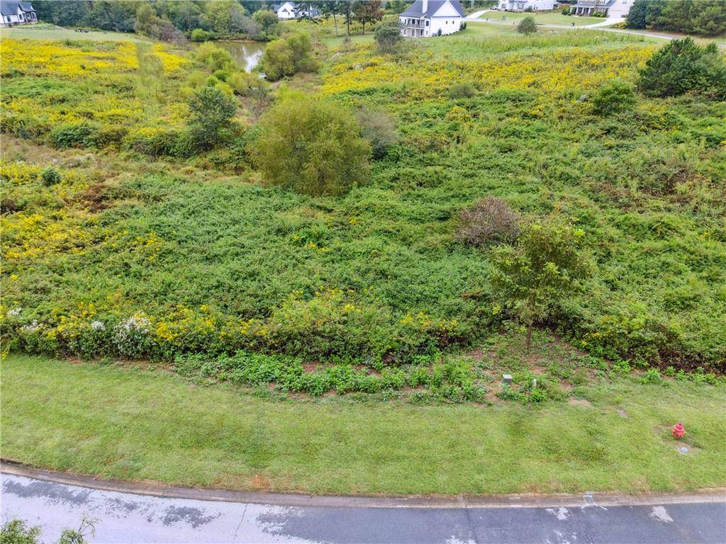 Demorest, GA 30535,0 Sweetgrass DR