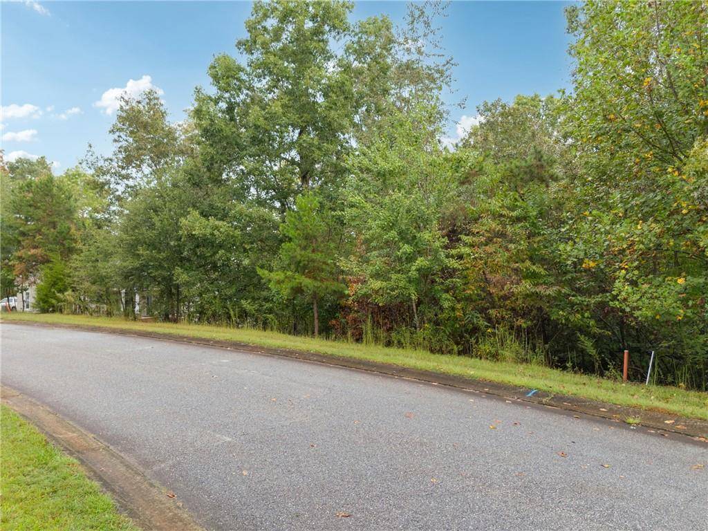 Demorest, GA 30535,0 St Augustine CT
