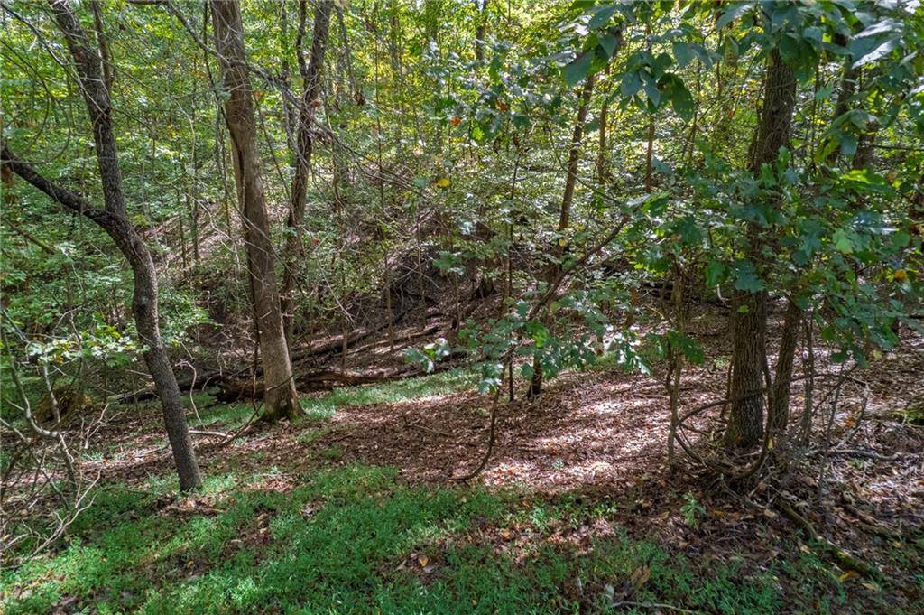 Ellijay, GA 30540,75 Huron CIR