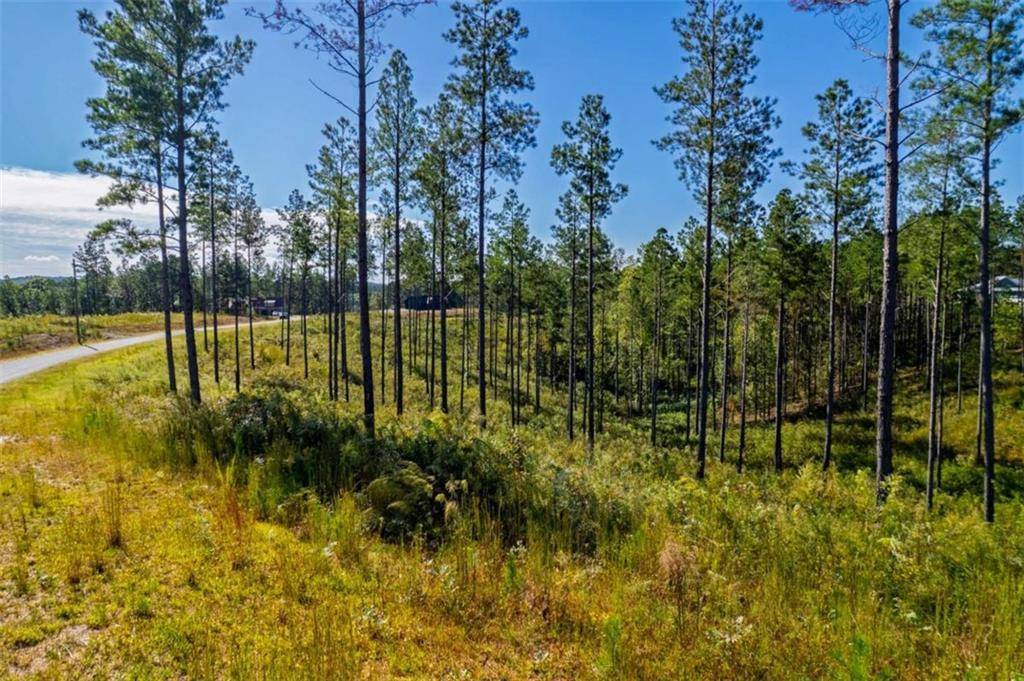 Talking Rock, GA 30175,LT 140 River Reach LN