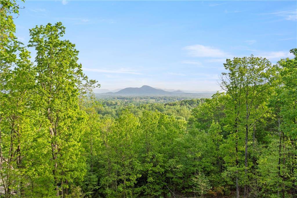 Cleveland, GA 30528,265 Lynda LN