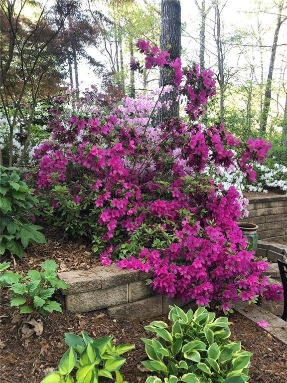 Roswell, GA 30076,8665 Steeplechase DR