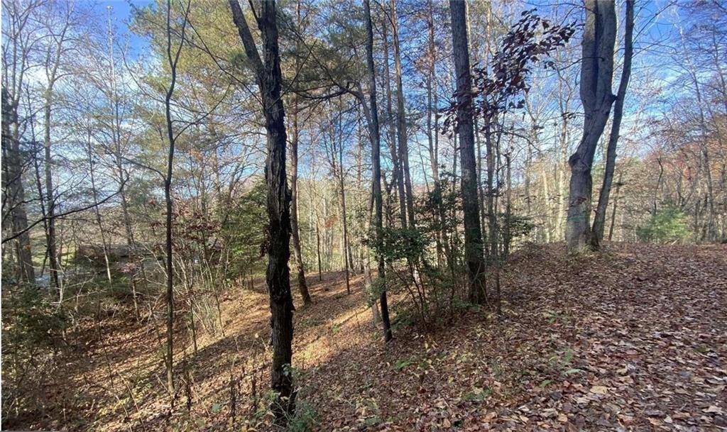 Hiawassee, GA 30546,1 BAREFOOT HILLS