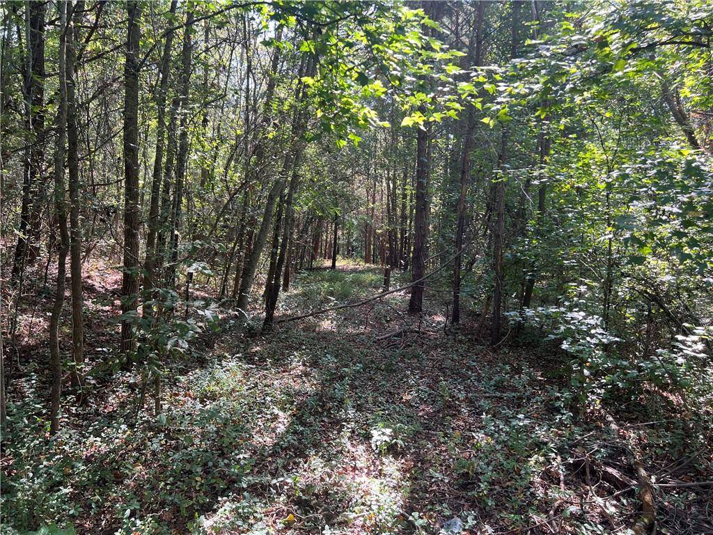 Tallapoosa, GA 30176,124 S Kelley ST