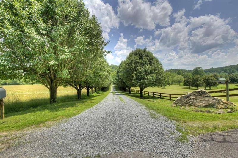 Mineral Bluff, GA 30559,311 Bailey Farm LN