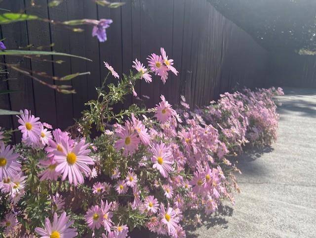 Smyrna, GA 30082,54 Church RD