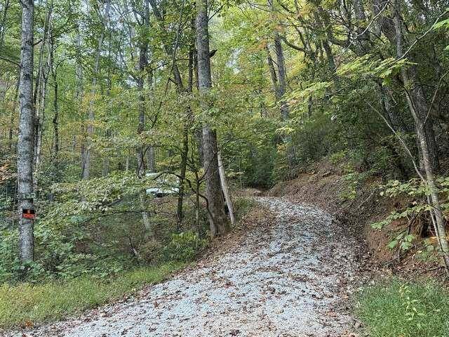 Clayton, GA 30525,0 Wood Sorrel Ln