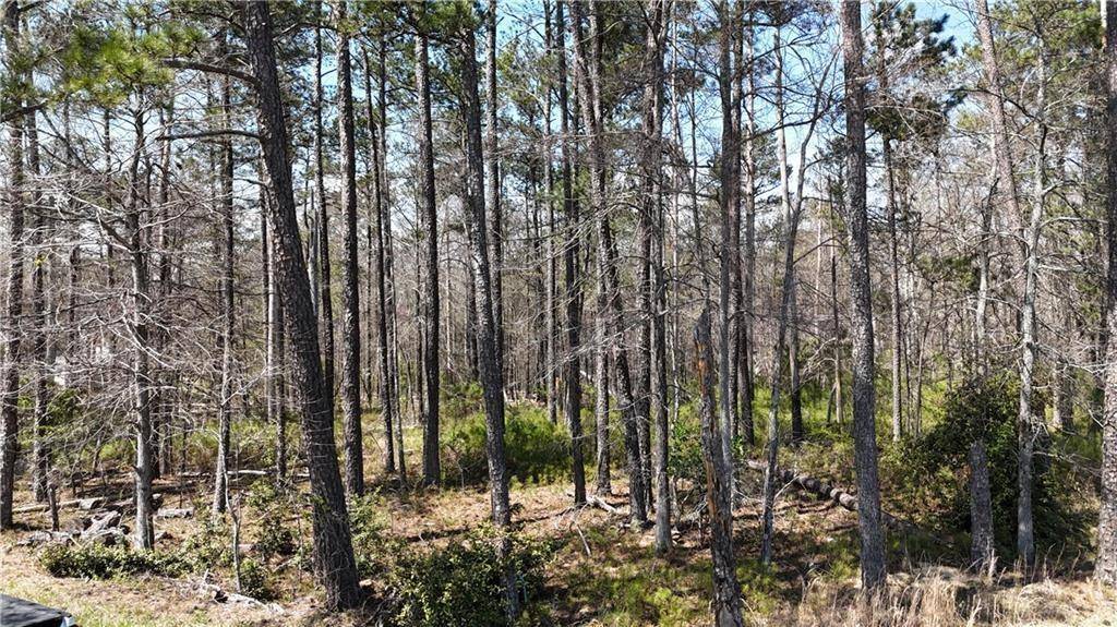 Acworth, GA 30102,0 Kings Camp RD SE