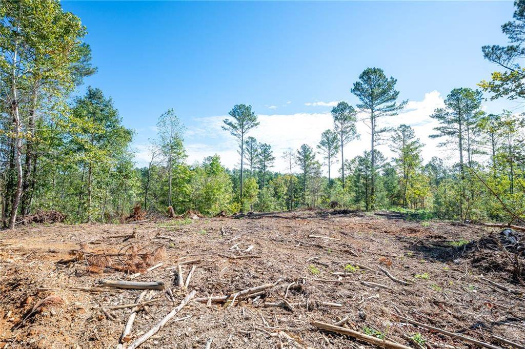 Rydal, GA 30171,3801 HWY 140 NE