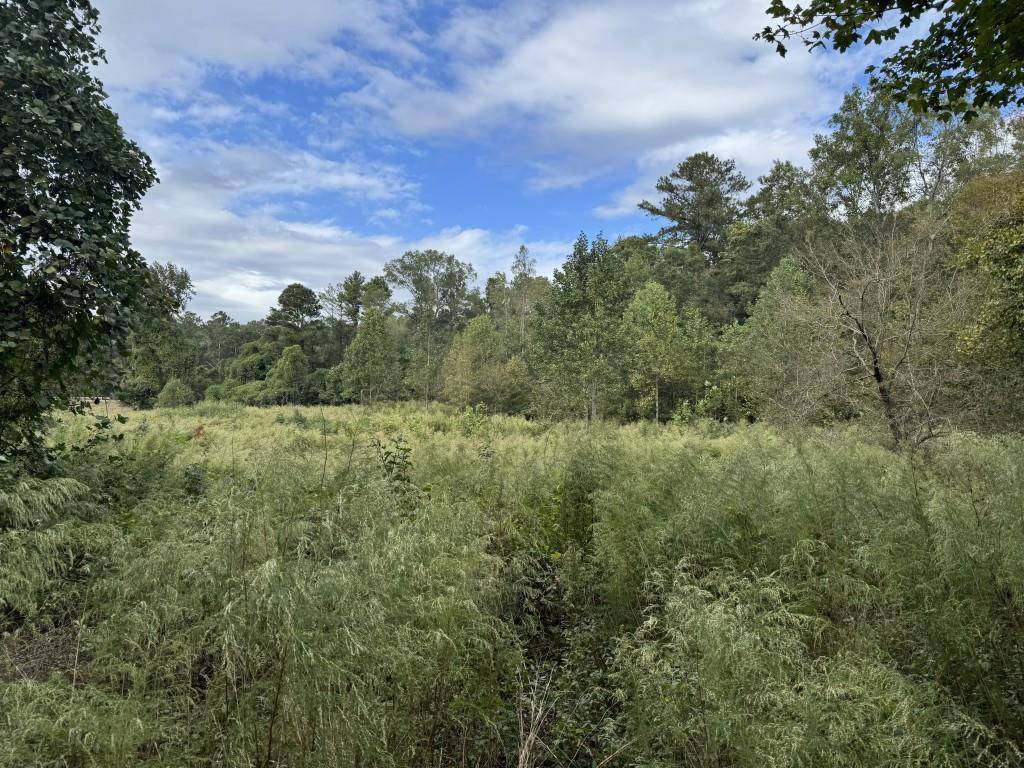 Covington, GA 30014,410 Alcovy WAY