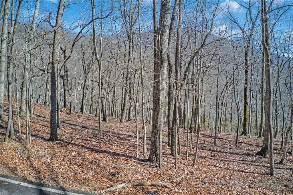 Jasper, GA 30143,6354 Huckleberry