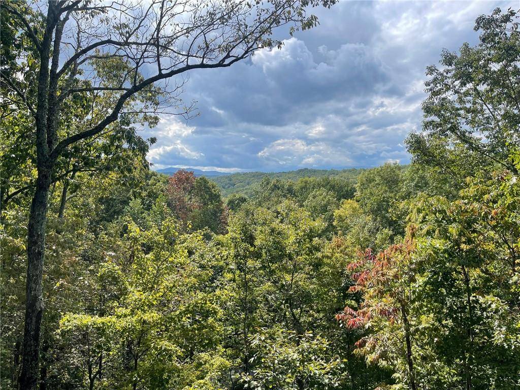 Morganton, GA 30560,24 Rabbit Ridge RD