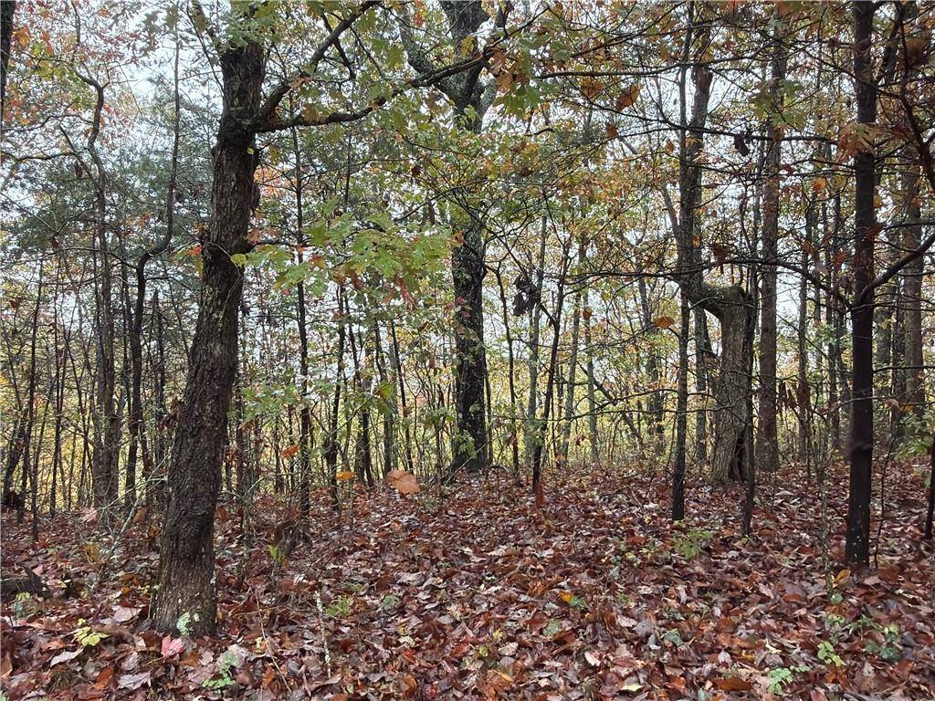 Rising Fawn, GA 30738,0 North Shivas Crest