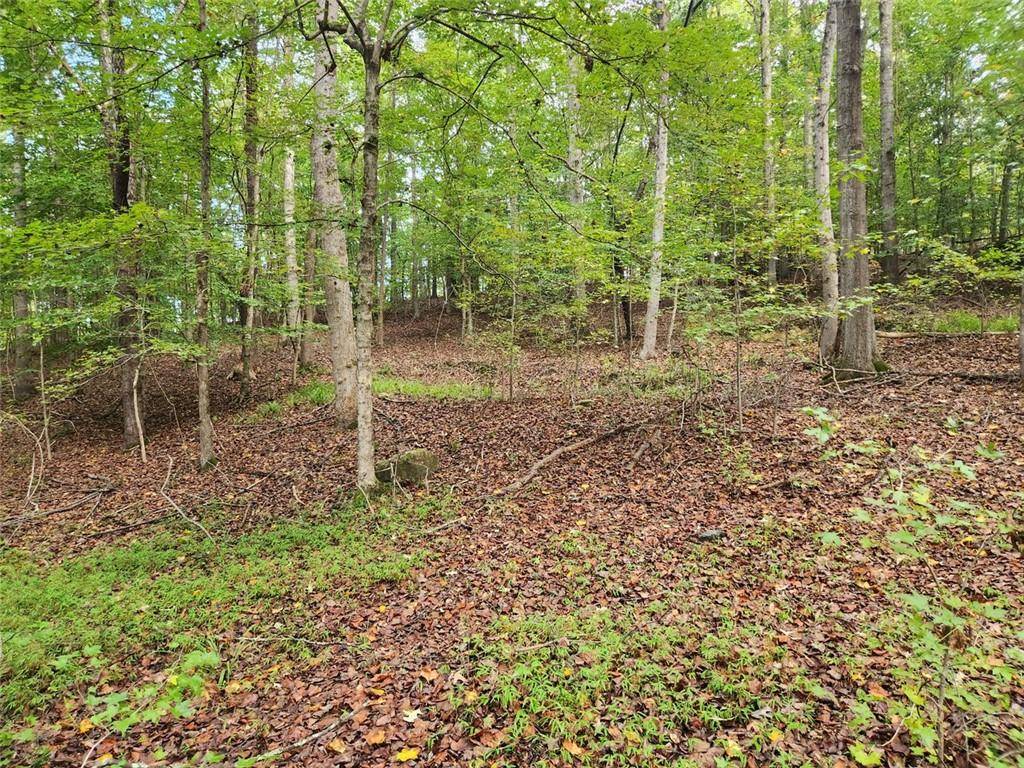 South Fulton, GA 30331,0 COCHRAN RD