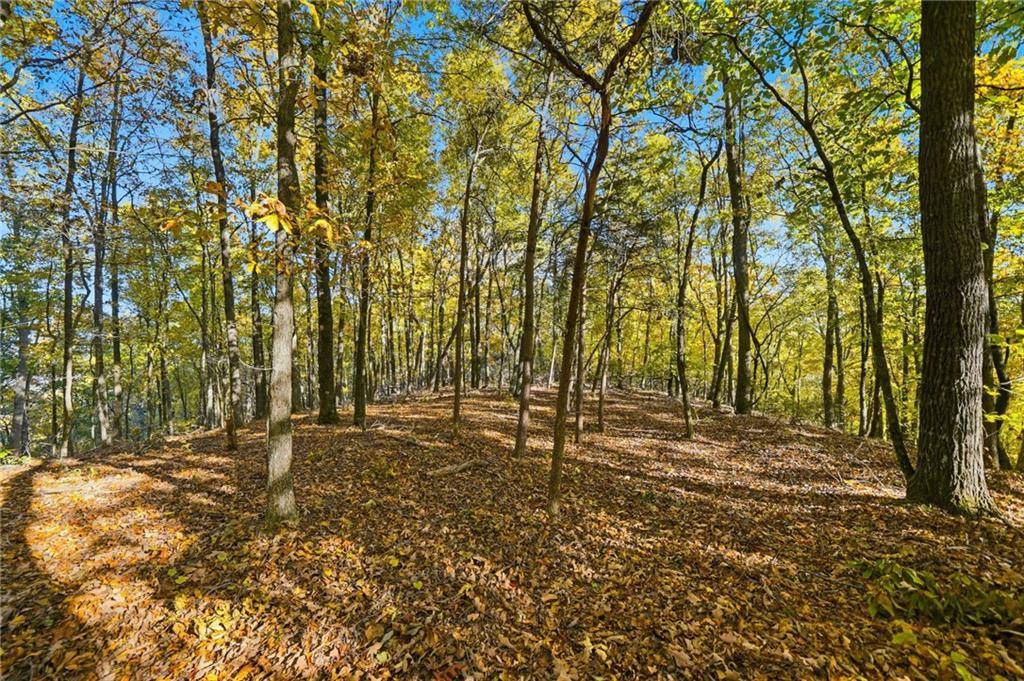 Talking Rock, GA 30175,1420 Sunset TRL