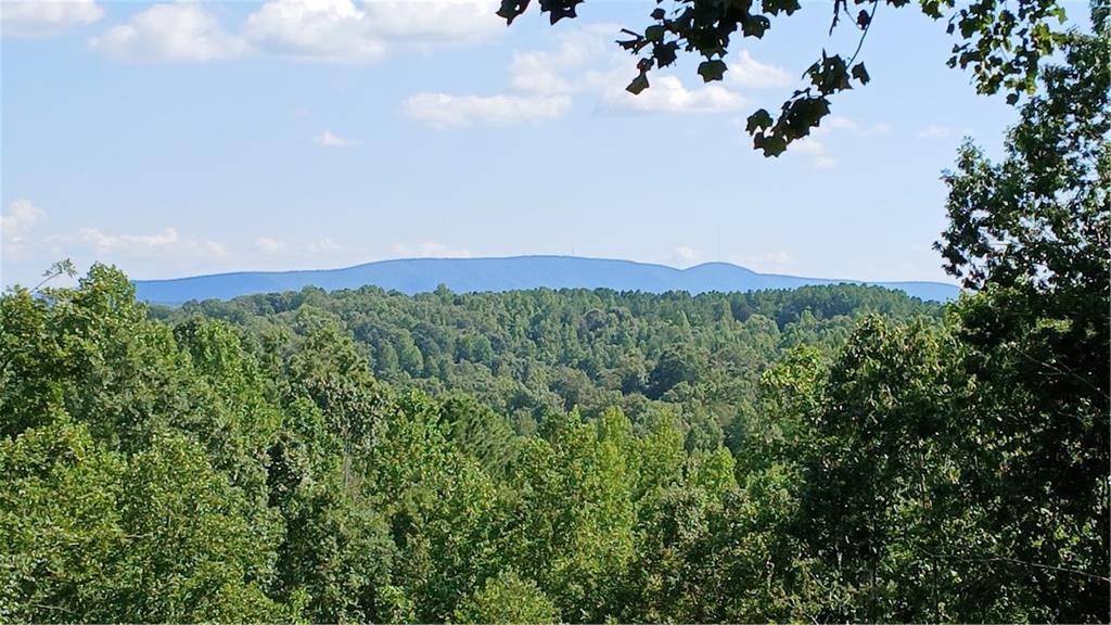 Fairmount, GA 30139,487 Angel RD