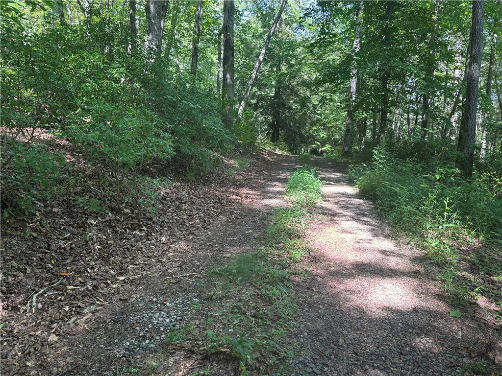 Suches, GA 30533,9.65ac Wilkins Cove Road