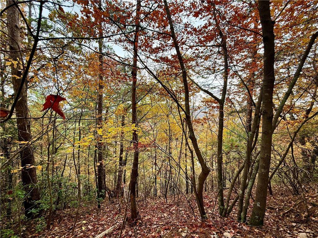 Ranger, GA 30734,526 Fedorak CT